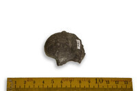 F 00261
<br/>
<br/>
<em></em>